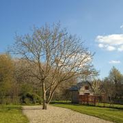 Gîte cosy en forêt