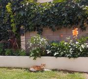 Sierras Alojamiento Departamentos