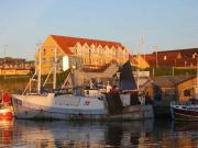 Top Hirtshals