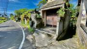 Top Ubud