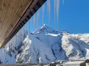 Mountain flower cottage