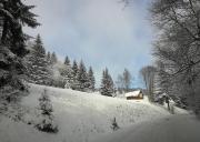 Top Jugów Top Jugów