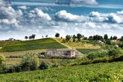Top Casale Monferrato