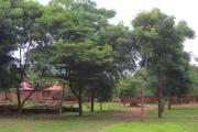 Top Lilongwe