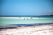 Top Watamu
