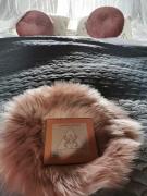 Top Slovenska Bistrica