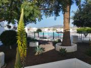 Top Arona