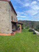 Top Avaglio
