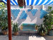 Monkey Safari Hostel