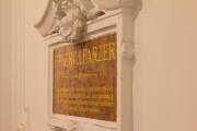 Top Vienna