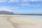 Top Strand