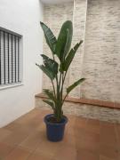 Top Conil de la Frontera