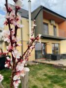 Top Cluj-Napoca Top Cluj-Napoca