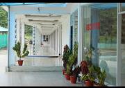Top Havelock Island
