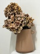 Top Budapest Top Budapest