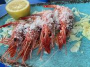 Top San Juan de los Terreros