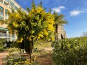 Top Juan-les-Pins