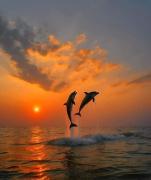 Apartamento Praia Grande Ubatuba