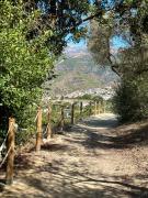 Top Canillas de Albaida Top Canillas de Albaida