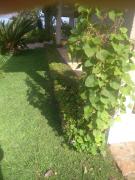 Sítio Santa Cecília