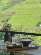 Top Longsheng