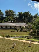 Top Ban Rak Thai Top Ban Rak Thai