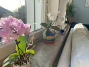 Top Bienenbüttel Top Bienenbüttel