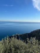 Top Ravello