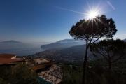 Top Sorrento