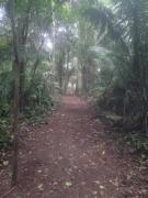 Top Puerto Maldonado