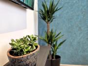 Suite Stay at 8 Suite Stay at 8