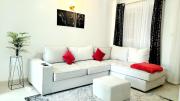 Luxurious Newly Fully Furnished Apartment