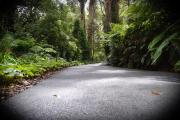Top Mount Dandenong