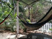 Top Arbolito Top Arbolito