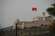 Top Assisi