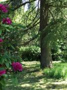 Top Sainte-Marie-aux-Mines