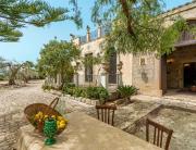 The Holiday And Art Seahorse House