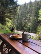 Top Špindlerův Mlýn