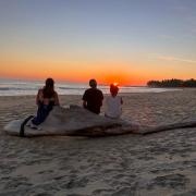 Top Playa Agua Blanca