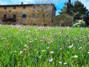 Top Volterra