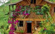 Koilee Homestead by StayApart