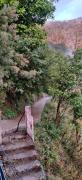 Top Shimla