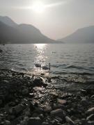 Top Faggeto Lario