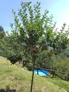 Top Piazza al Serchio