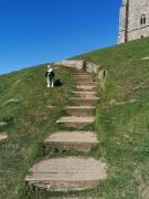 Top Glastonbury