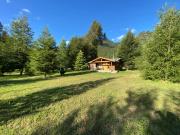 Top Liquiñe Top Liquiñe