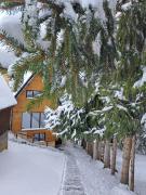 Top Kopaonik