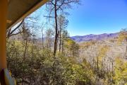 Top Hiawassee