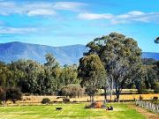 Copper Creek Retreat - sleep next door to the Lions