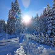 Top Murau